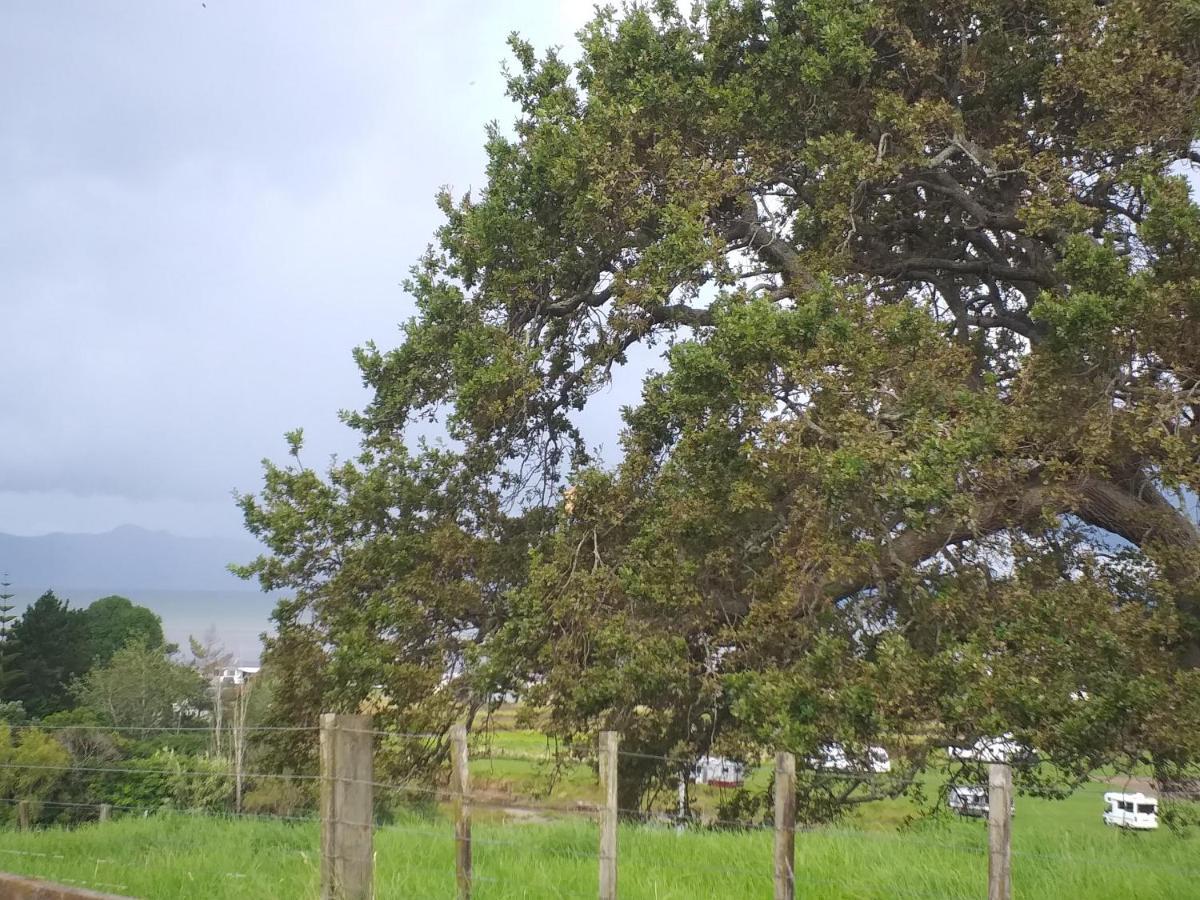 Kaiaua Bayview Farm Apartment 奥克兰 外观 照片